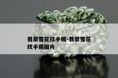 翡翠雪花纹手镯-翡翠雪花纹手镯图片