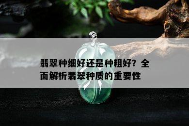 翡翠种细好还是种粗好？全面解析翡翠种质的重要性