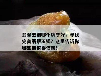 翡翠玉镯哪个牌子好，寻找完美翡翠玉镯？这里告诉你哪些最值得信赖！