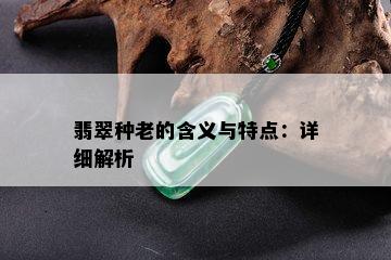 翡翠种老的含义与特点：详细解析