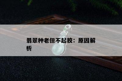 翡翠种老但不起胶：原因解析