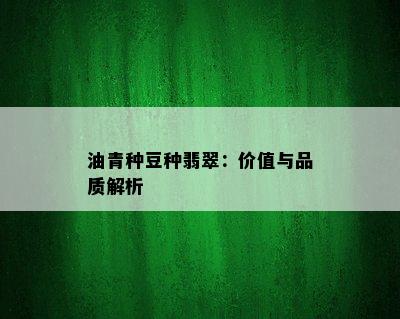 油青种豆种翡翠：价值与品质解析