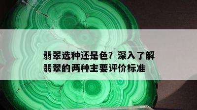 翡翠选种还是色？深入了解翡翠的两种主要评价标准