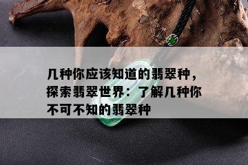 几种你应该知道的翡翠种，探索翡翠世界：了解几种你不可不知的翡翠种