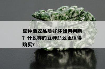 豆种翡翠品质好坏如何判断？什么样的豆种翡翠更值得购买？