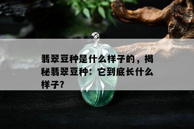 翡翠豆种是什么样子的，揭秘翡翠豆种：它到底长什么样子？