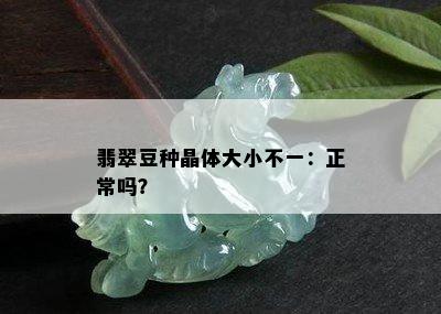 翡翠豆种晶体大小不一：正常吗？