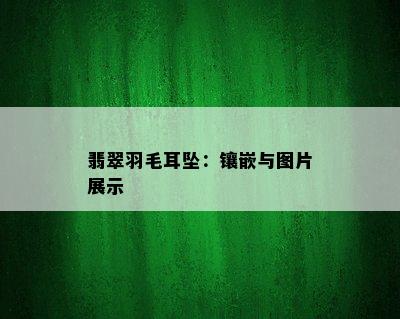 翡翠羽毛耳坠：镶嵌与图片展示