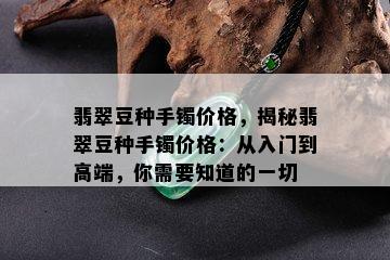 翡翠豆种手镯价格，揭秘翡翠豆种手镯价格：从入门到高端，你需要知道的一切