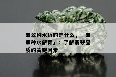 翡翠种水指的是什么，「翡翠种水解释」：了解翡翠品质的关键因素