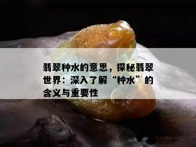 翡翠种水的意思，探秘翡翠世界：深入了解“种水”的含义与重要性