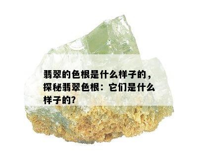 翡翠的色根是什么样子的，探秘翡翠色根：它们是什么样子的？