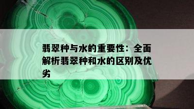 翡翠种与水的重要性：全面解析翡翠种和水的区别及优劣