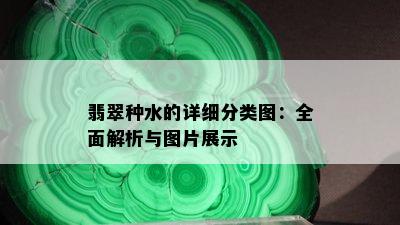 翡翠种水的详细分类图：全面解析与图片展示