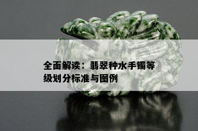 全面解读：翡翠种水手镯等级划分标准与图例