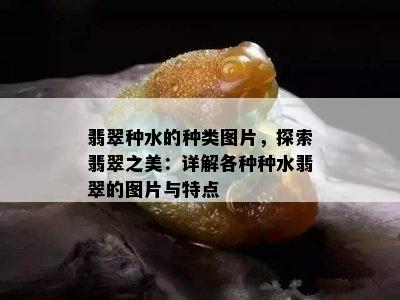 翡翠种水的种类图片，探索翡翠之美：详解各种种水翡翠的图片与特点