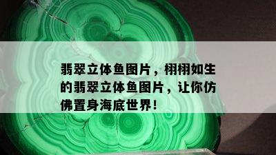 翡翠立体鱼图片，栩栩如生的翡翠立体鱼图片，让你仿佛置身海底世界！