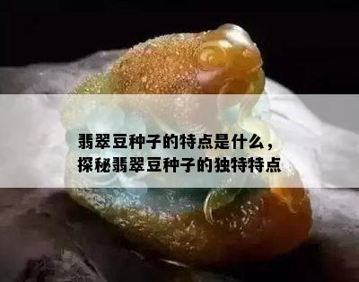 翡翠豆种子的特点是什么，探秘翡翠豆种子的独特特点