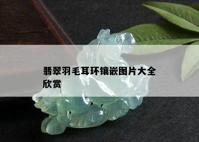 翡翠羽毛耳环镶嵌图片大全欣赏