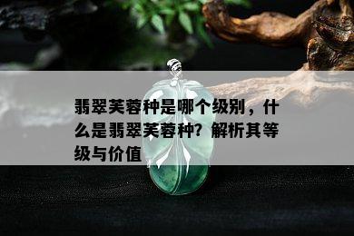 翡翠芙蓉种是哪个级别，什么是翡翠芙蓉种？解析其等级与价值