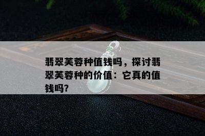 翡翠芙蓉种值钱吗，探讨翡翠芙蓉种的价值：它真的值钱吗？