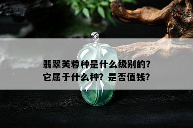 翡翠芙蓉种是什么级别的？它属于什么种？是否值钱？