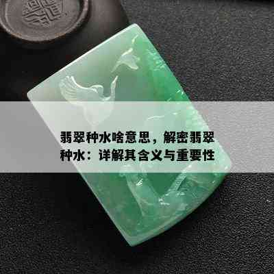 翡翠种水啥意思，解密翡翠种水：详解其含义与重要性