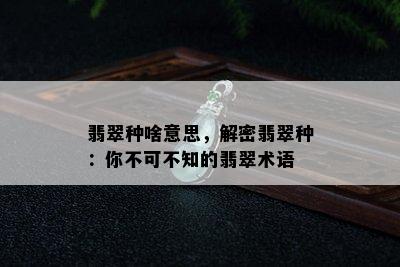 翡翠种啥意思，解密翡翠种：你不可不知的翡翠术语