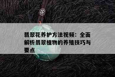 翡翠花养护方法视频：全面解析翡翠植物的养殖技巧与要点