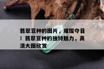 翡翠豆种的图片，璀璨夺目！翡翠豆种的独特魅力，高清大图欣赏