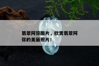 翡翠阿弥图片，欣赏翡翠阿弥的美丽照片！