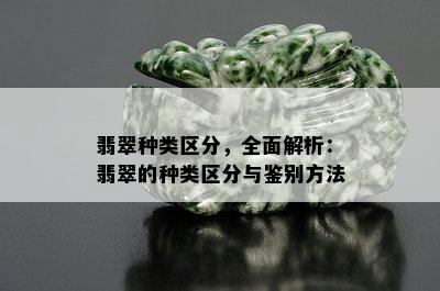 翡翠种类区分，全面解析：翡翠的种类区分与鉴别方法