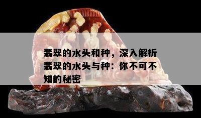 翡翠的水头和种，深入解析翡翠的水头与种：你不可不知的秘密