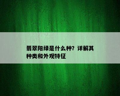 翡翠阳绿是什么种？详解其种类和外观特征