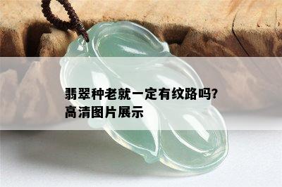 翡翠种老就一定有纹路吗？高清图片展示