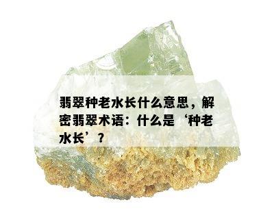 翡翠种老水长什么意思，解密翡翠术语：什么是‘种老水长’？