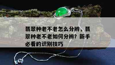 翡翠种老不老怎么分辨，翡翠种老不老如何分辨？新手必看的识别技巧