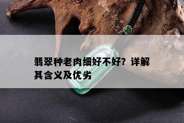 翡翠种老肉细好不好？详解其含义及优劣