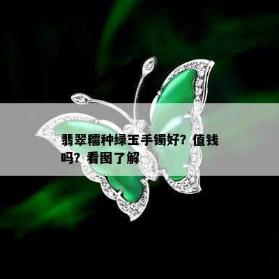 翡翠糯种绿玉手镯好？值钱吗？看图了解