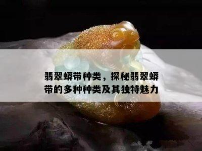 翡翠蟒带种类，探秘翡翠蟒带的多种种类及其独特魅力