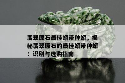 翡翠原石更佳蟒带种蟒，揭秘翡翠原石的更佳蟒带种蟒：识别与选购指南