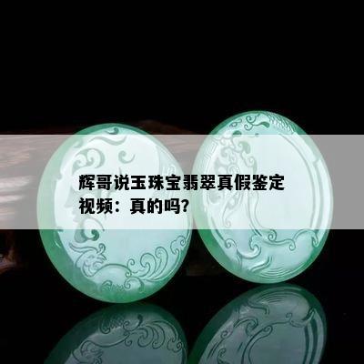 辉哥说玉珠宝翡翠真假鉴定视频：真的吗？