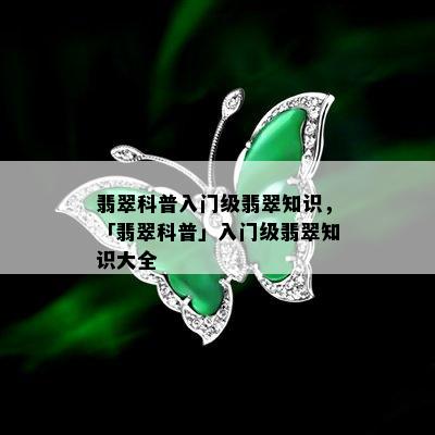 翡翠科普入门级翡翠知识，「翡翠科普」入门级翡翠知识大全