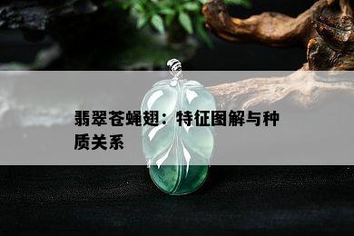 翡翠苍蝇翅：特征图解与种质关系