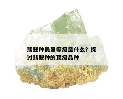 翡翠种更高等级是什么？探讨翡翠种的顶级品种