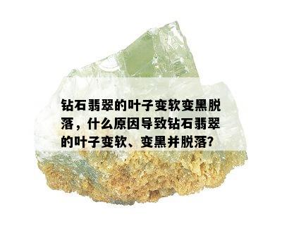 钻石翡翠的叶子变软变黑脱落，什么原因导致钻石翡翠的叶子变软、变黑并脱落？