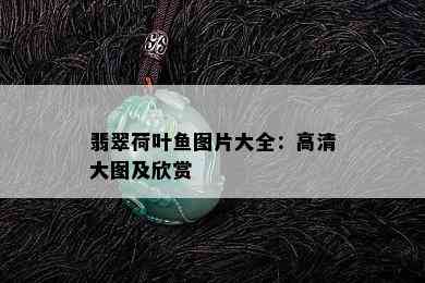 翡翠荷叶鱼图片大全：高清大图及欣赏