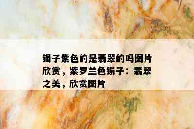 镯子紫色的是翡翠的吗图片欣赏，紫罗兰色镯子：翡翠之美，欣赏图片