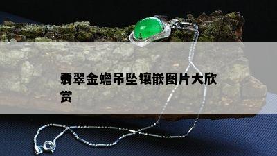 翡翠金蟾吊坠镶嵌图片大欣赏