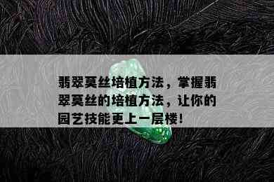 翡翠莫丝培植方法，掌握翡翠莫丝的培植方法，让你的园艺技能更上一层楼！